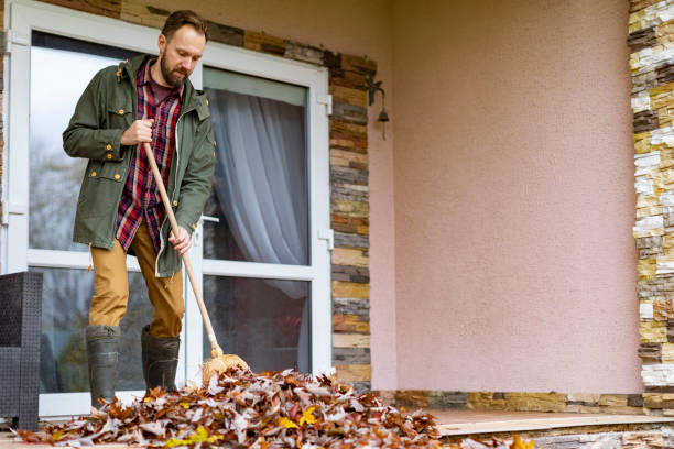 Best Basement Cleanout Services  in Bonneau Beach, SC